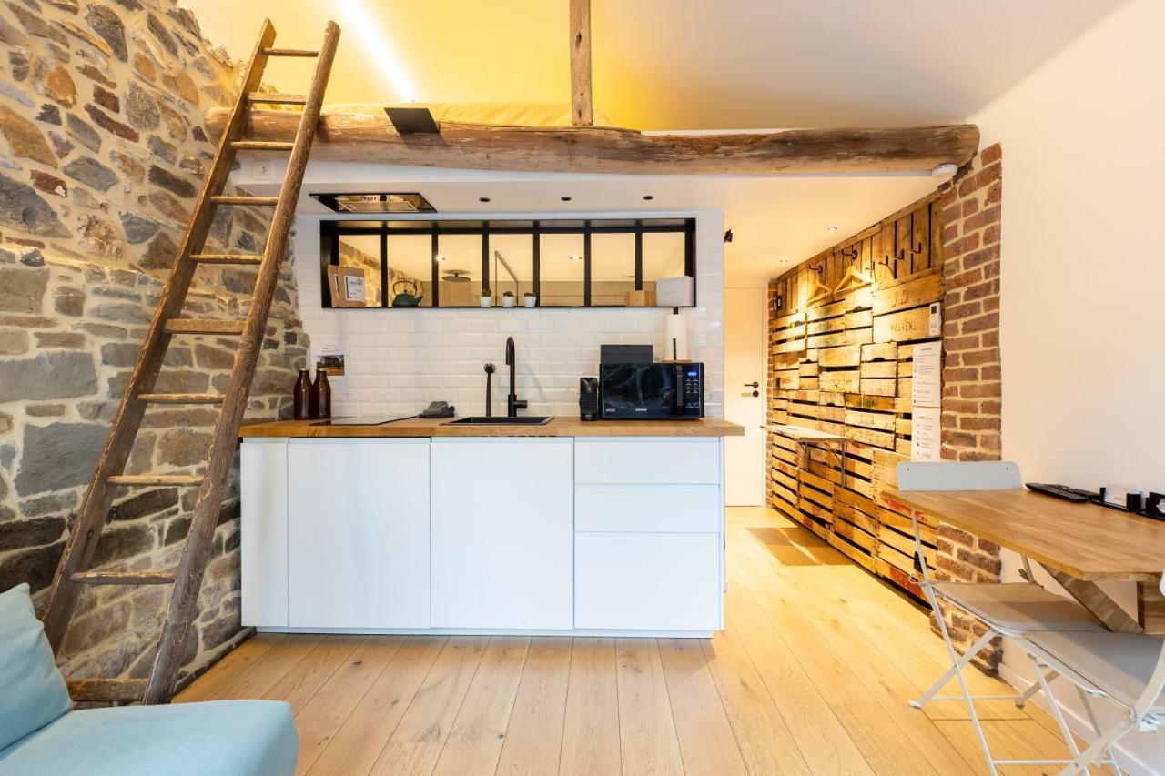 オベル Tynil Saint Jean: Renovated Old Barn + Nordic Bathヴィラ エクステリア 写真